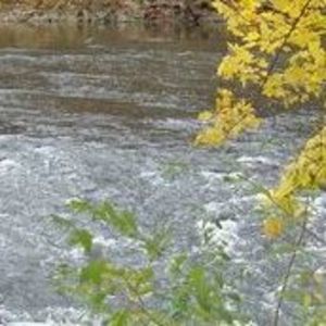 Meet your Posher, Hershey